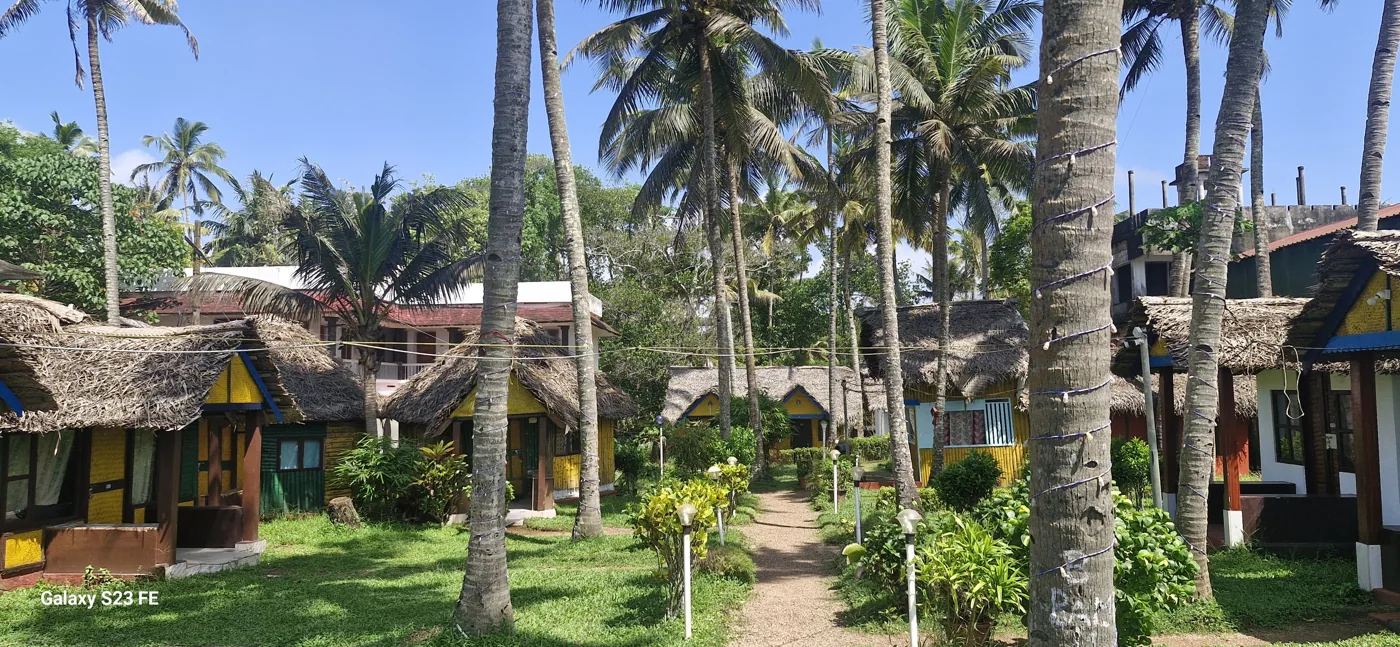 Bamboo Village — property photograph