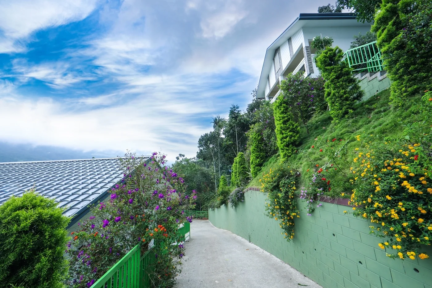 Blossom Hill — property photograph