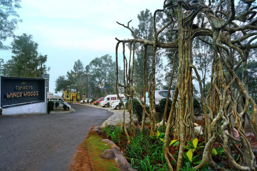 Chandy's Windy Woods — property photograph