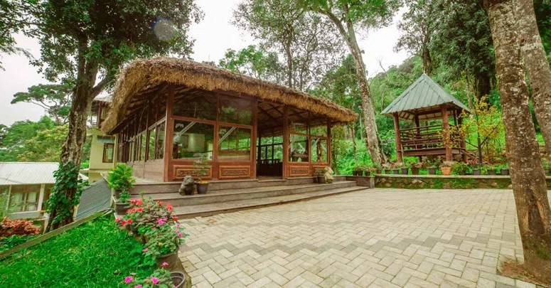 Elixir Woods (Deepwoods) — property photograph