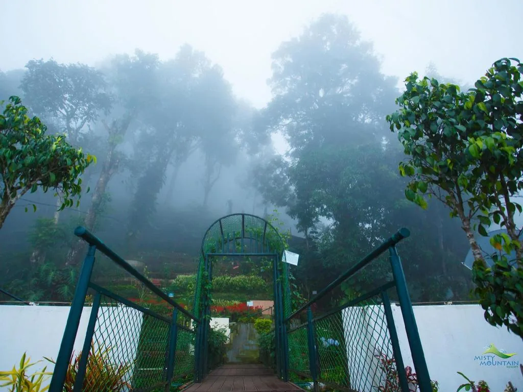 Misty Mountain Resort — property photograph