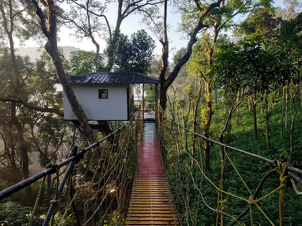 Silver Tree Munnar — property photograph
