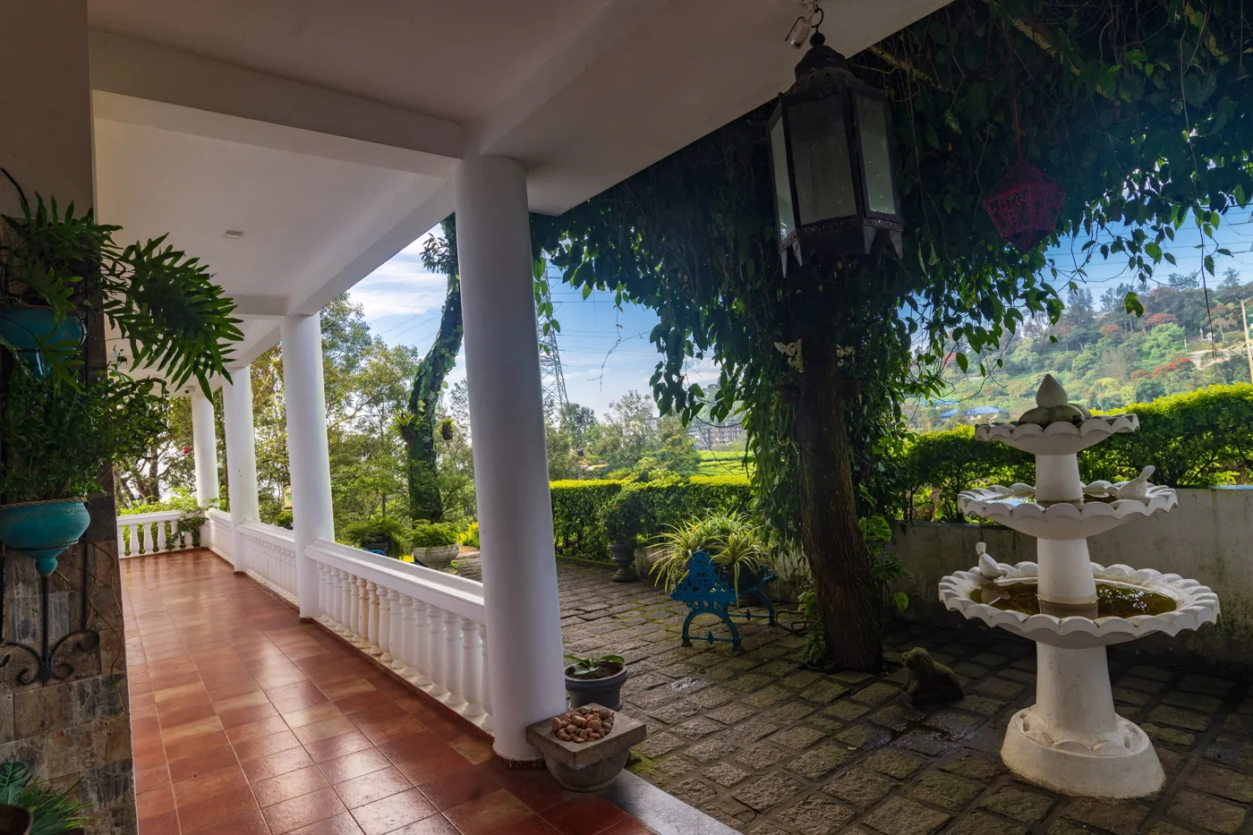 Tea Harvester — property photograph