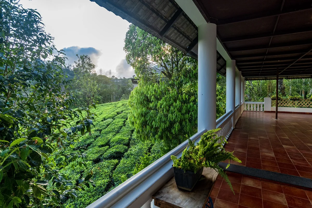 Tea Harvester — property photograph
