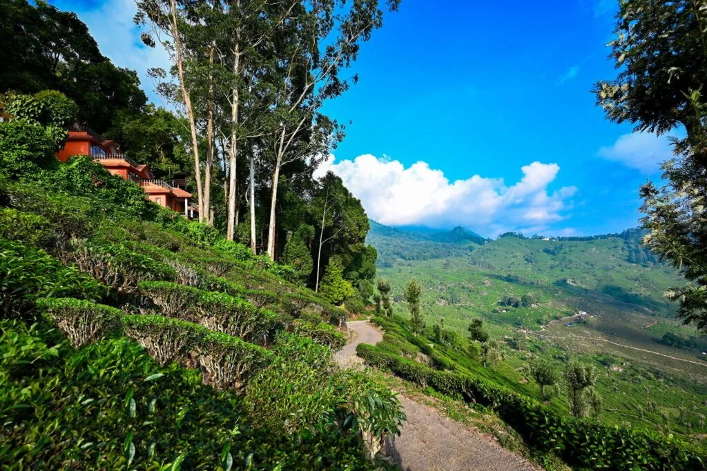 Tea Valley Resort — property photograph