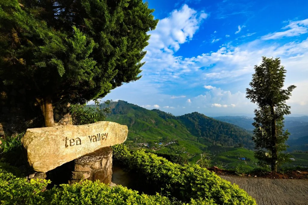 Tea Valley Resort — property photograph