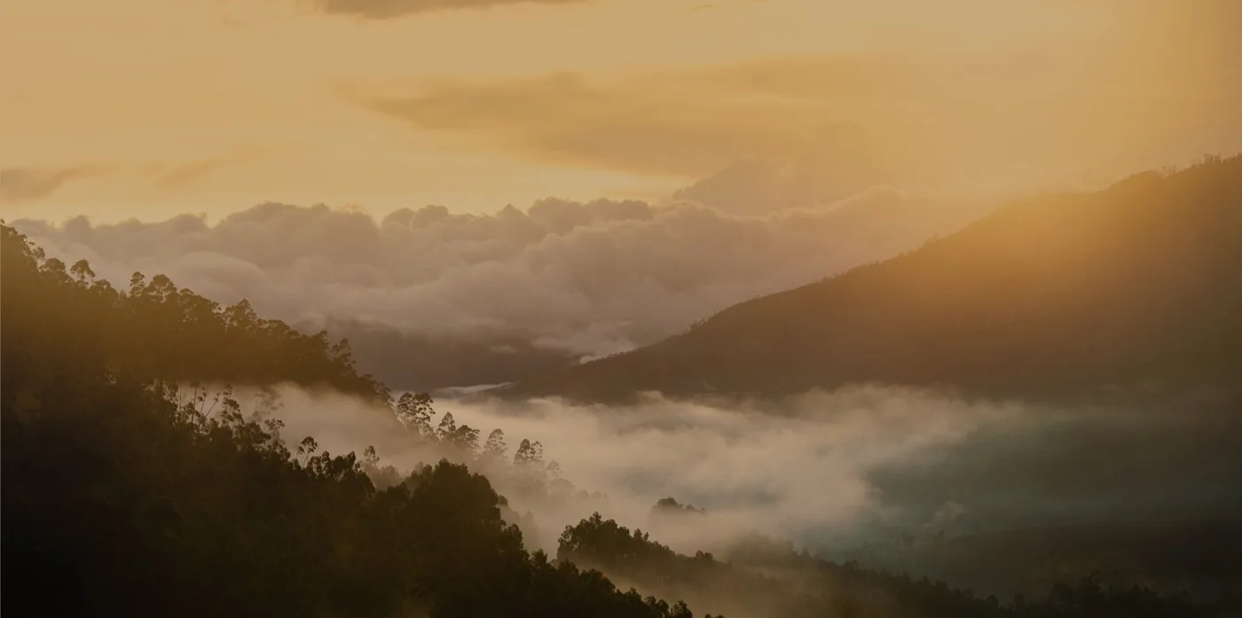 The Leaf Munnar — property photograph