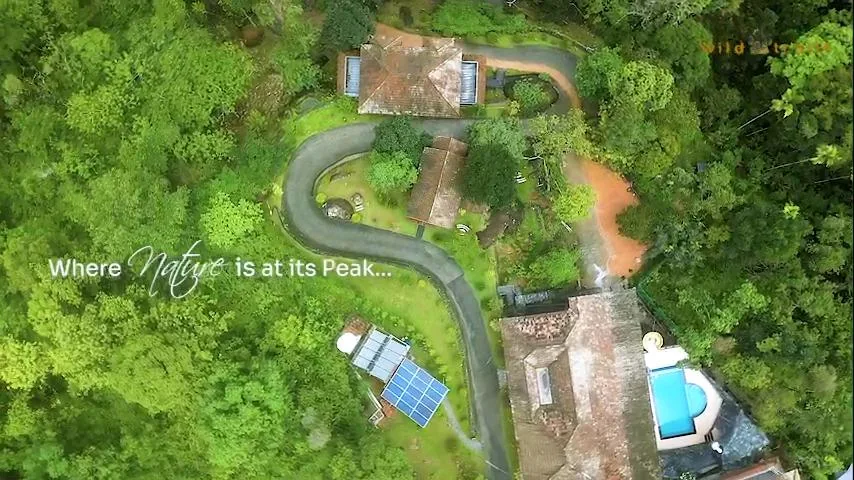 The Wild Trails Clarks Exotica — property photograph