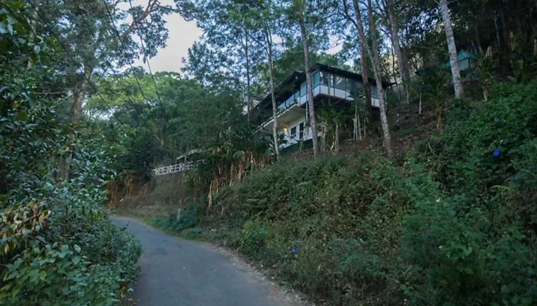 Violet Woods — property photograph